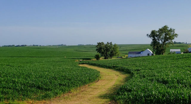 農業(yè)行業(yè)